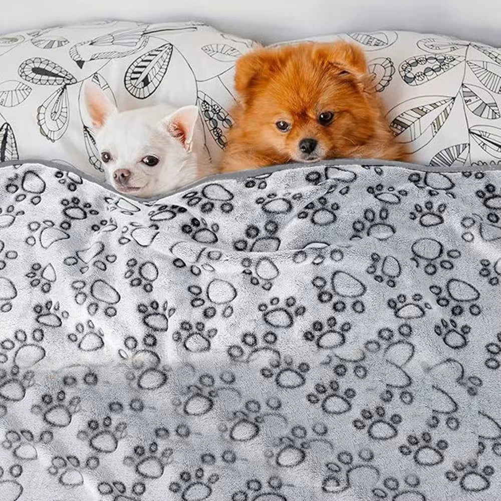 MaisonPaw™ CozyCalm Pet Blanket