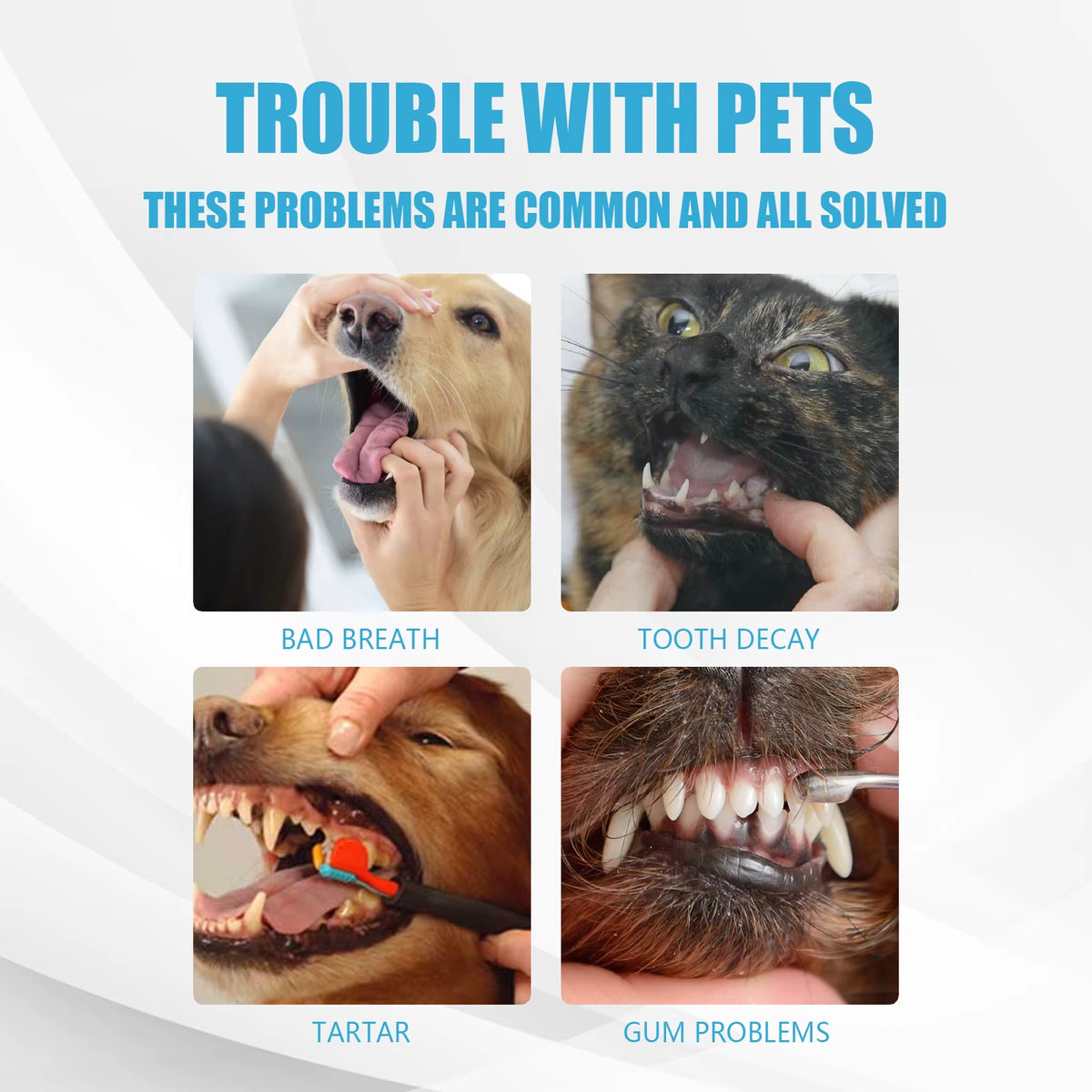 MaisonPaw™ FreshSmile Pet Toothpaste
