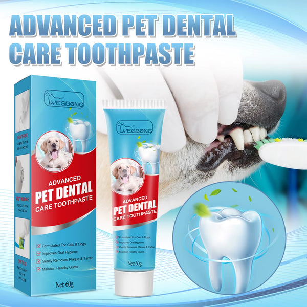 Pet dental care kit in the bundle